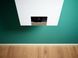Двухконтурный конденсационный котел Vaillant ecoTEC plus VUW 32CS/1-5 (N-INT2)